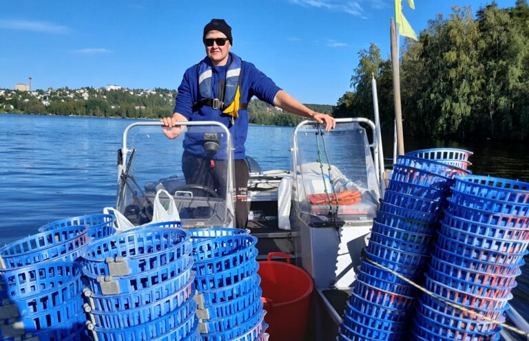 Tampereen Pyhäjärven täplärapuselvitys vuonna 2025
